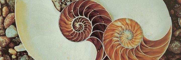 marikreischer's profile banner image