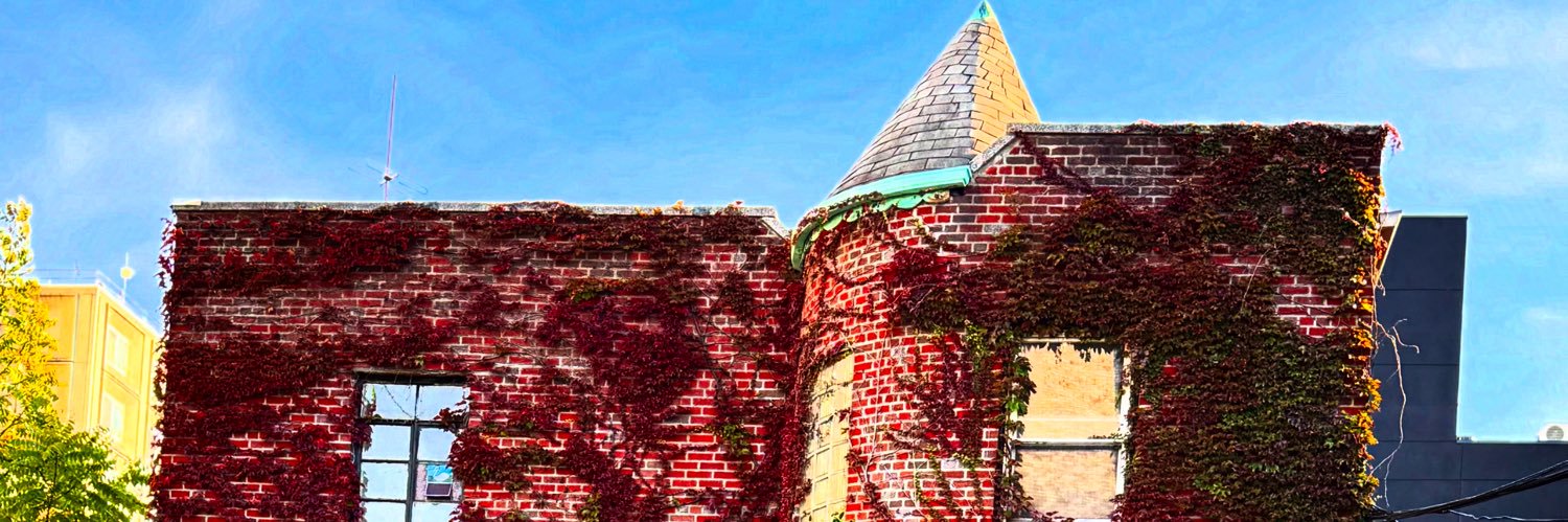 Danyal Kade Doyle Griffiths banner