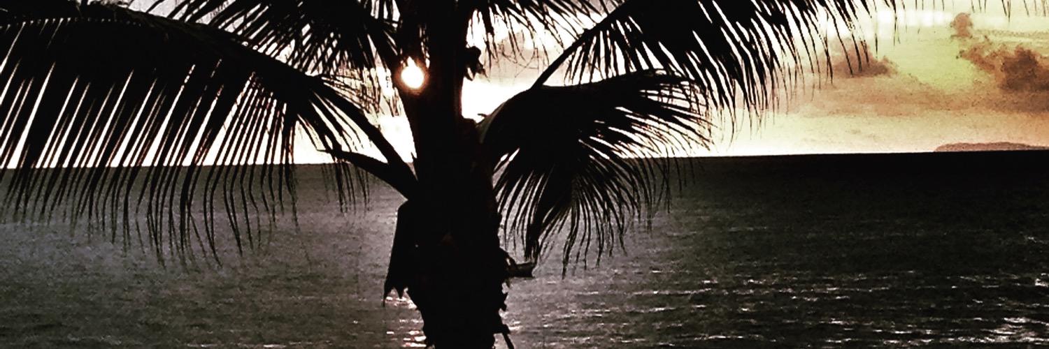 LPeguero's profile banner image