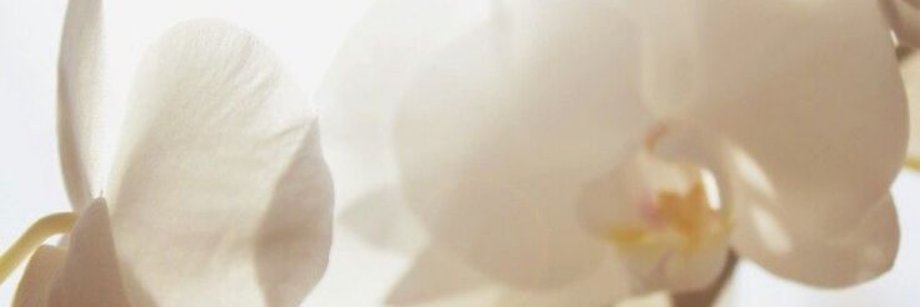 ּؘ banner