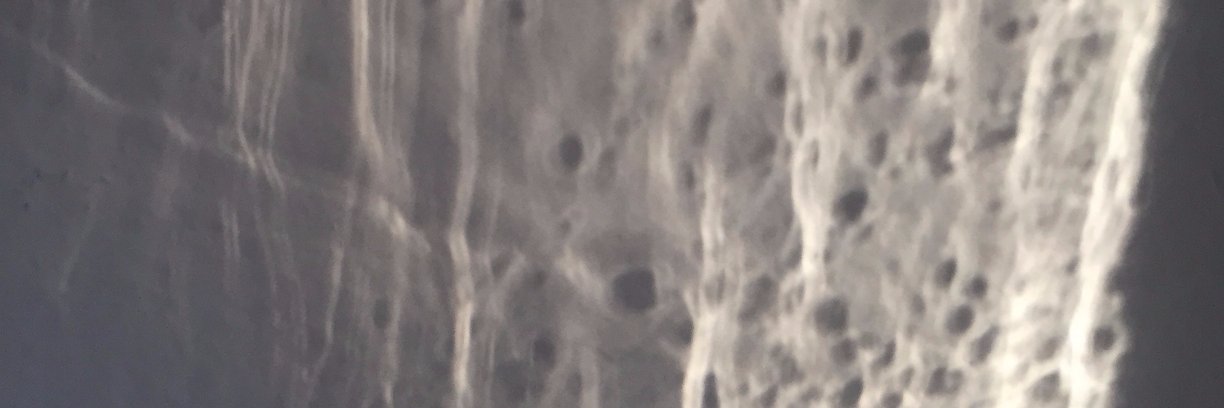 _g0odvibes's profile banner image
