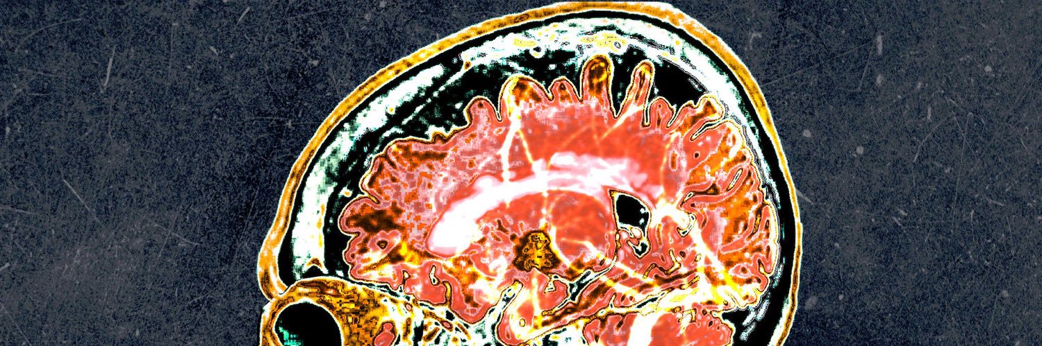 Angelo Dipasquale banner