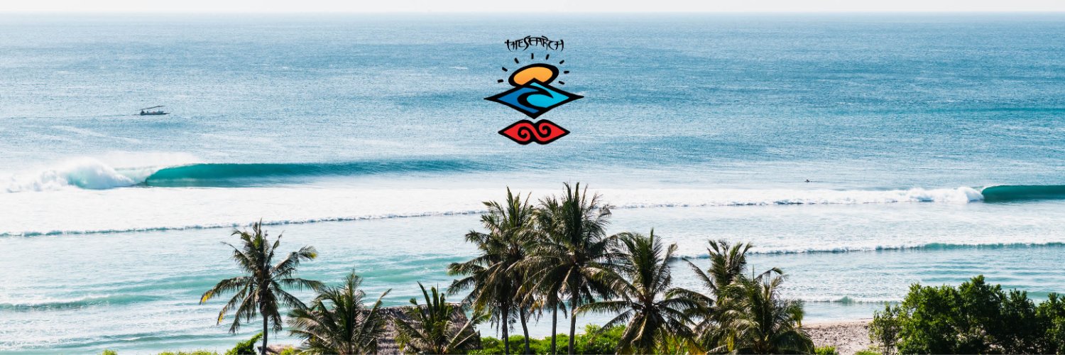 Rip Curl banner