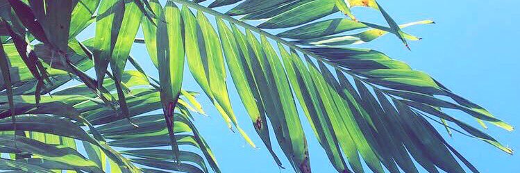 meganderitter's profile banner image