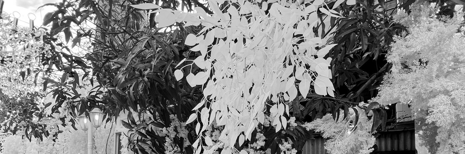 Rabyjane's profile banner image