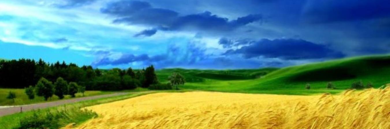 vNeyast's profile banner image