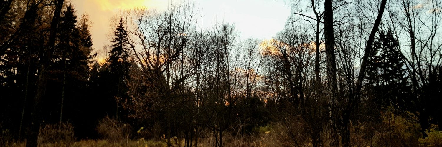 Maxim Belugin banner