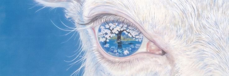 Minaditto4's profile banner image