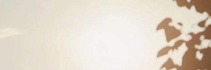 al3nd_17's profile banner image