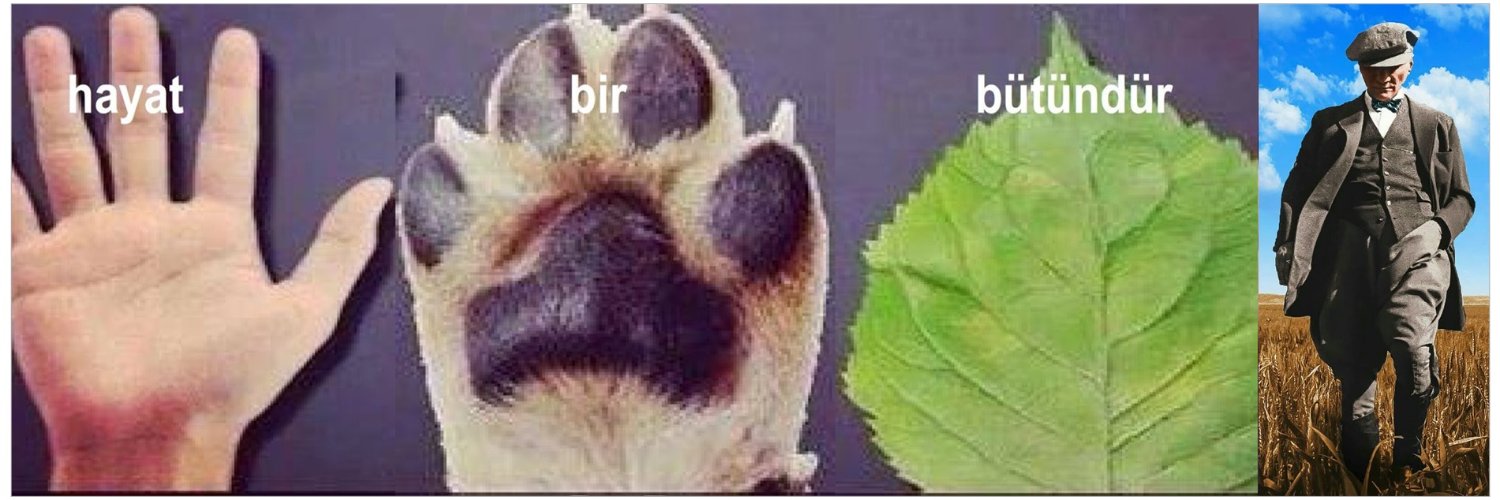 bedriballar's profile banner image
