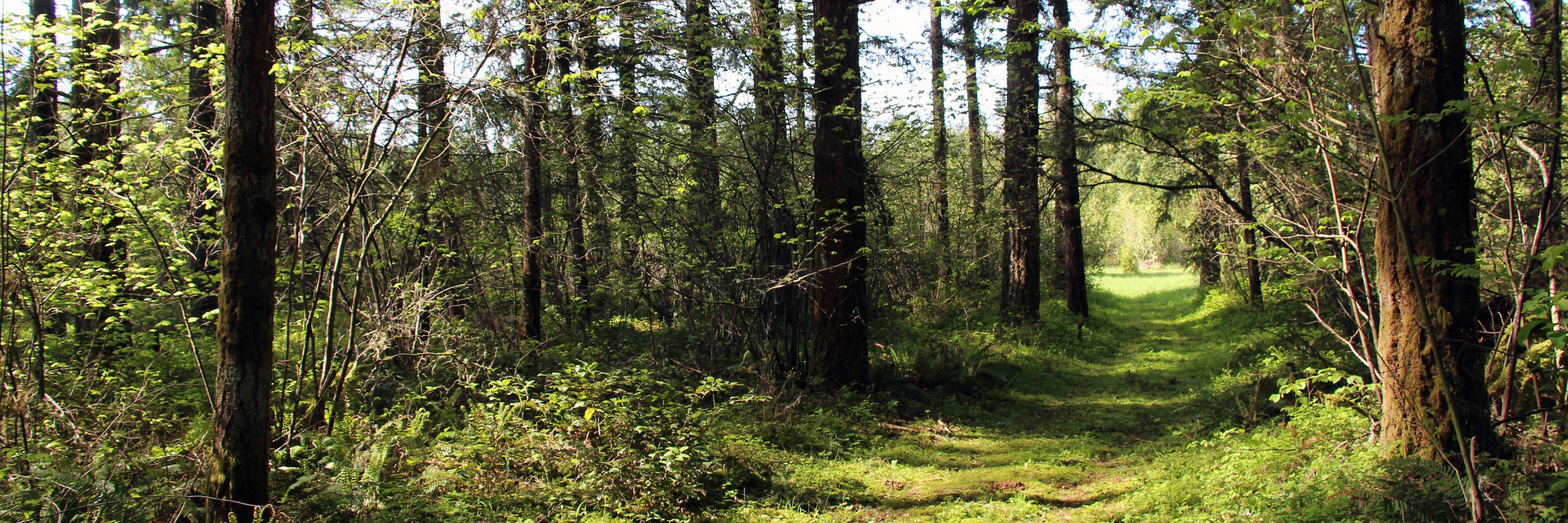 TroutmanFarms's profile banner image