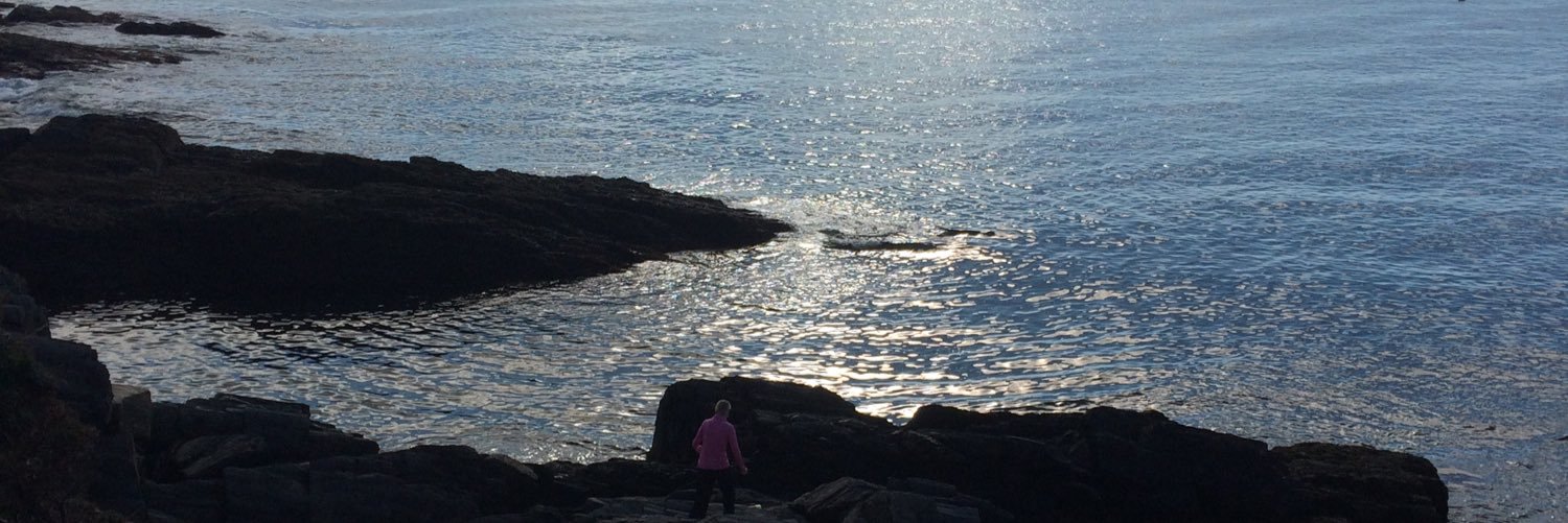 Karen Saffles-Slater banner