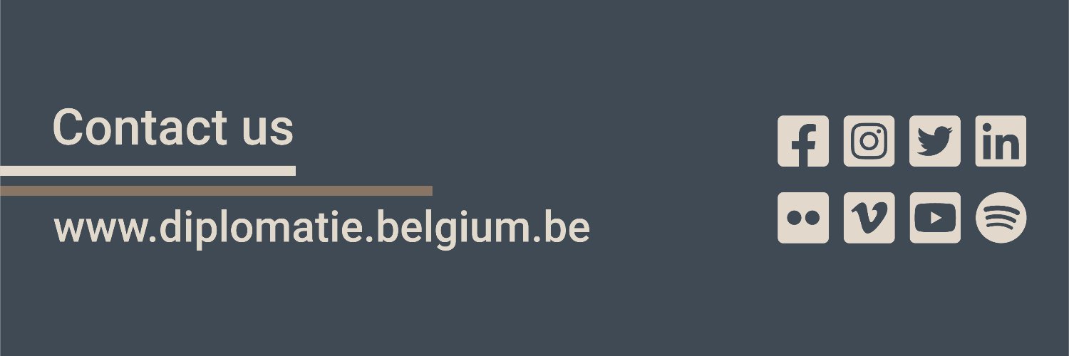 🇧🇪 Belgium MFA Profile Banner