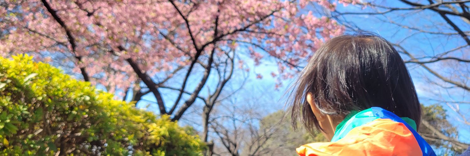 小野友花里🌸 banner