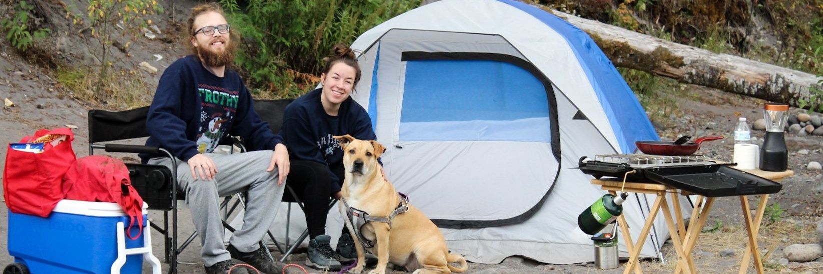 ShaneOrNot's profile banner image