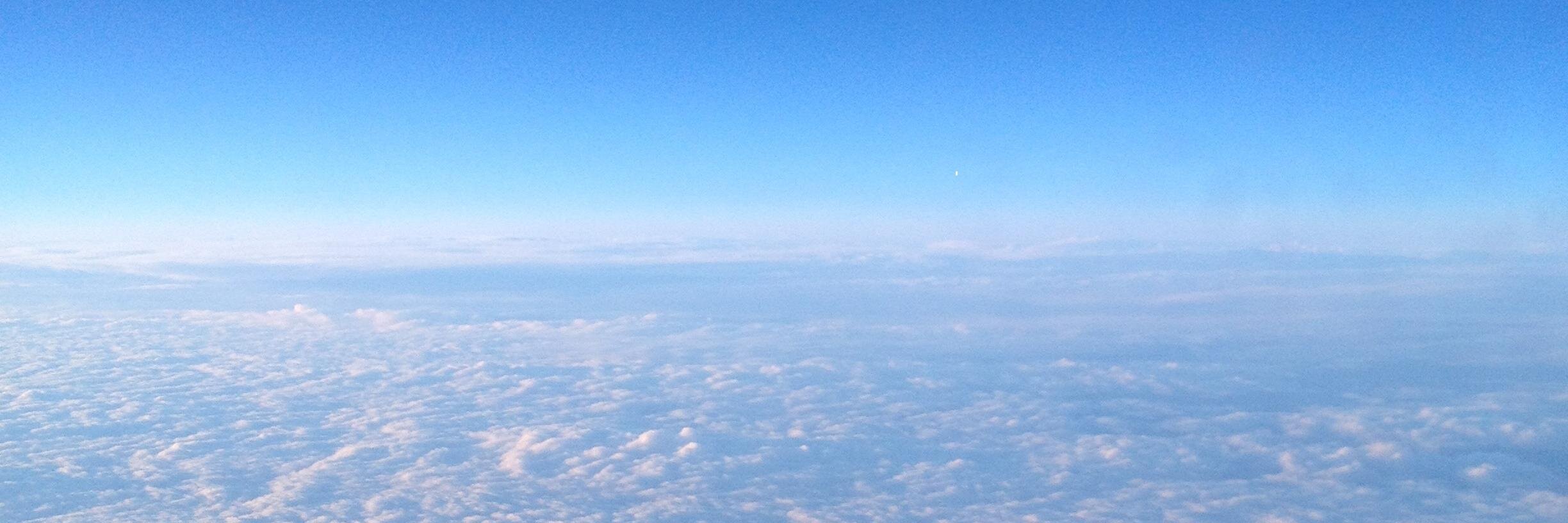 Dr Anne-Marie Boylan banner