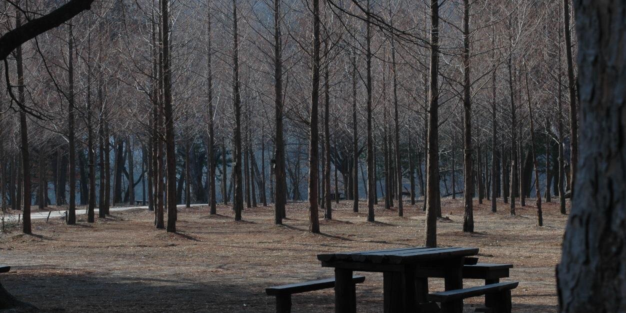 au_bore's profile banner image