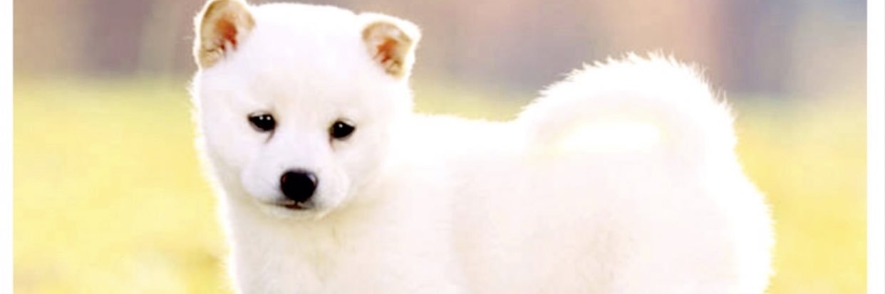 byuluga's profile banner image