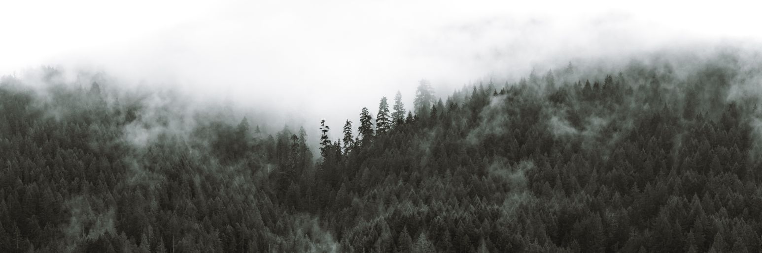 Brandon Tardif banner