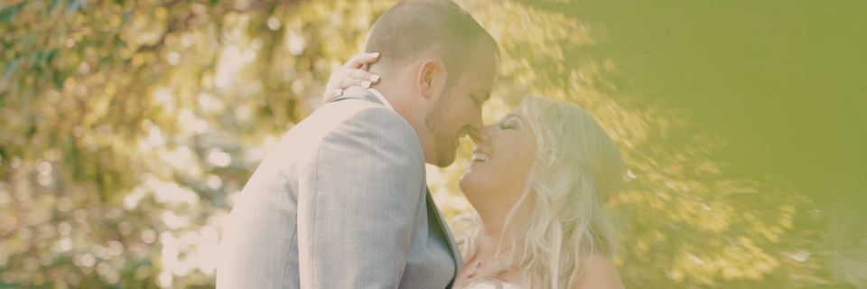 The Image In Motion banner