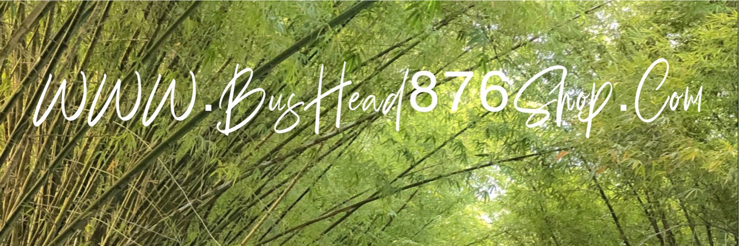 Dj_BusHead876's profile banner image