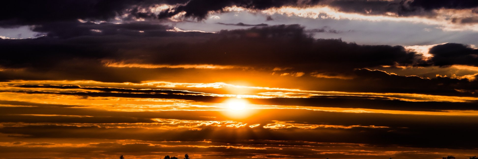 Wayne Emerson banner