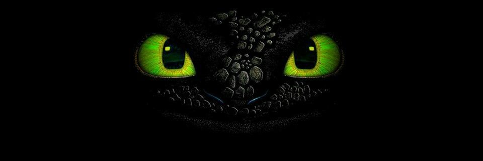TheNightsDragon's profile banner image
