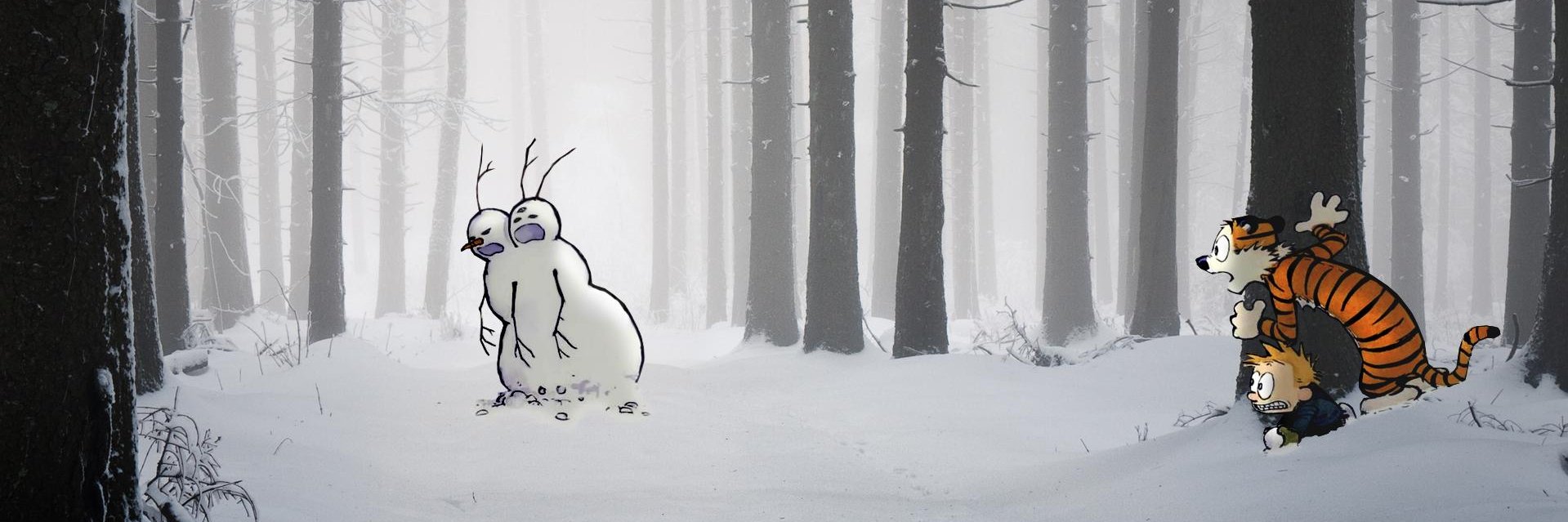 MountnWookie's profile banner image