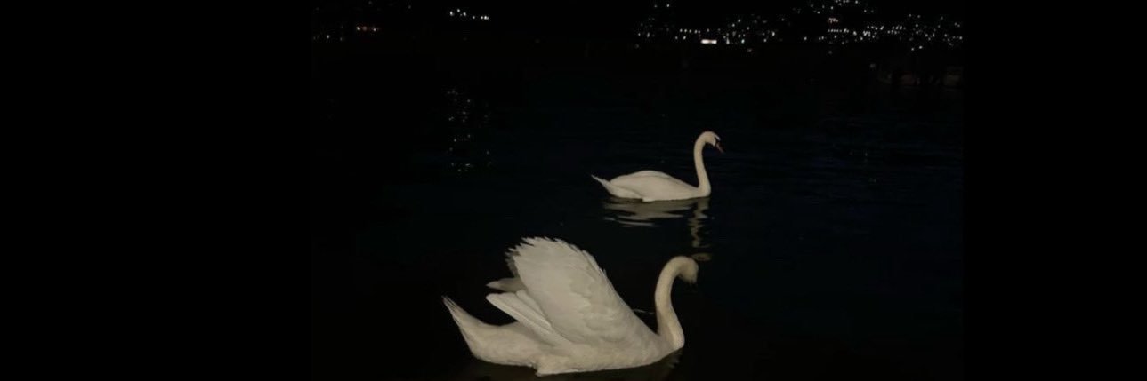 MarahebAle_'s profile banner image