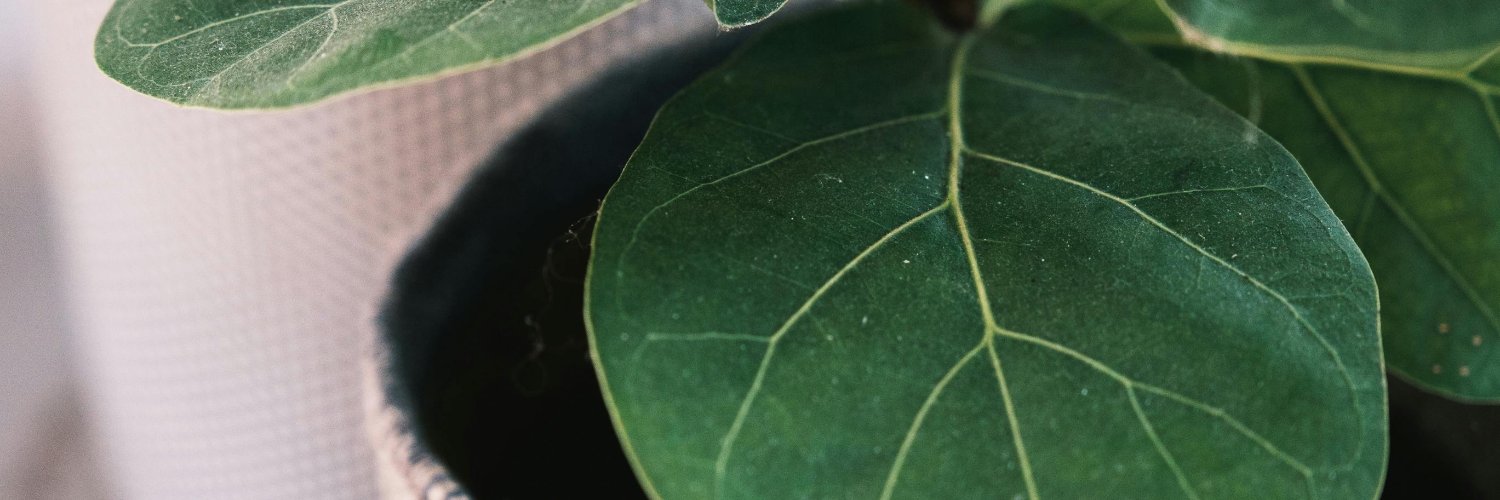 RashedOsaimi's profile banner image