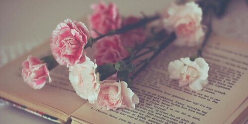 Shawnie banner