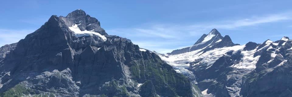 frogscan's profile banner image