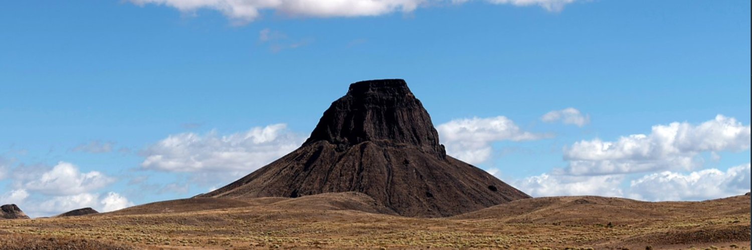 Franek Wardyński banner