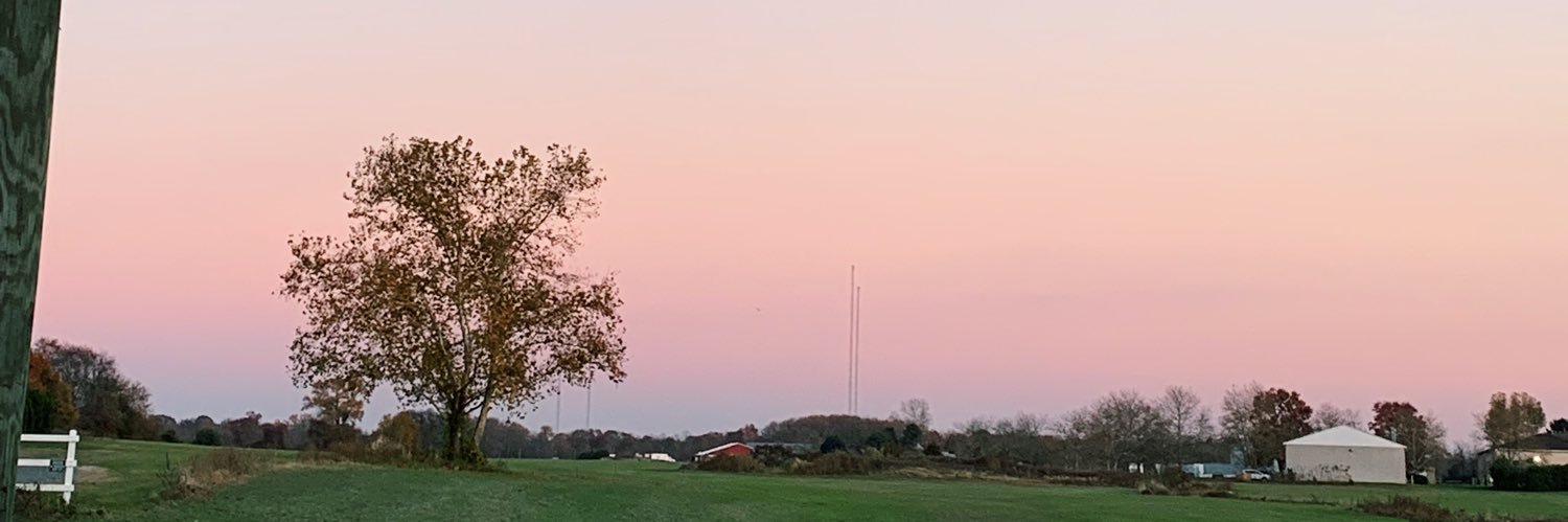 emma_turney's profile banner image
