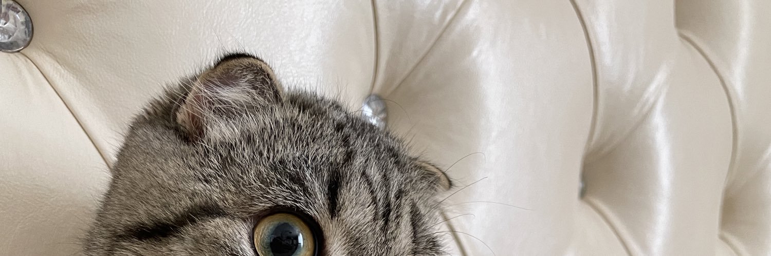 godmoneyplease's profile banner image