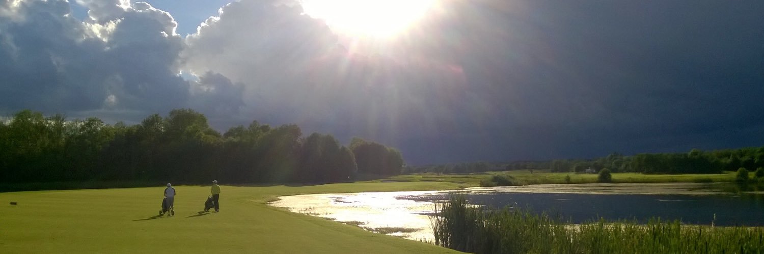 Henrik Schöldström banner