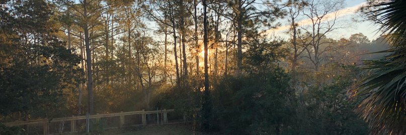 childerelda's profile banner image