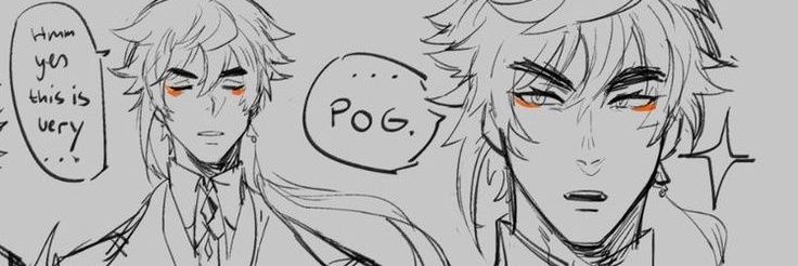 braska banner