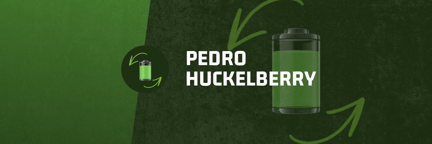 pedrohuckel's profile banner image