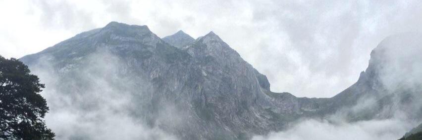 xolinga's profile banner image