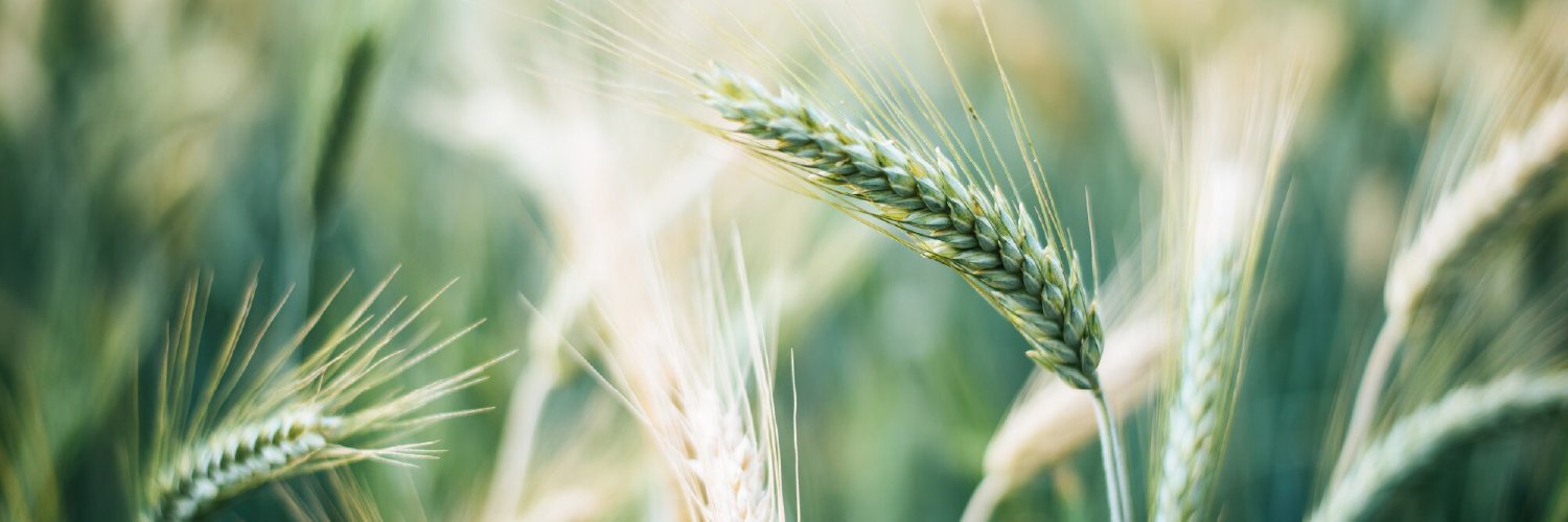 Agrion Crop Solutions (formerly SST & SACOA) banner