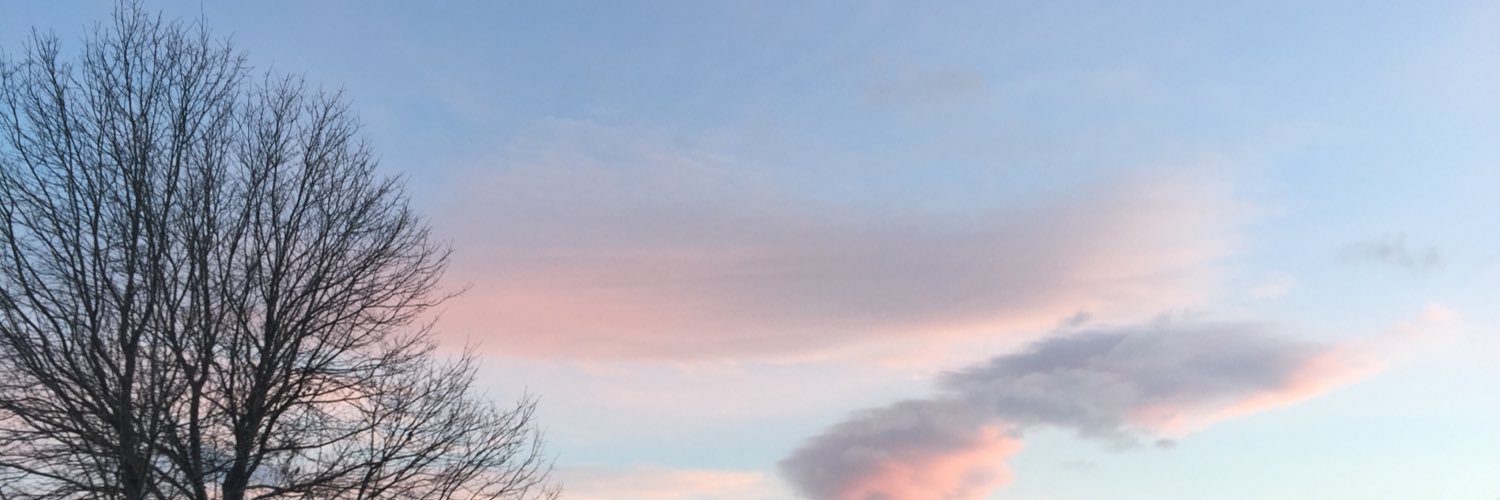 silje_ac's profile banner image
