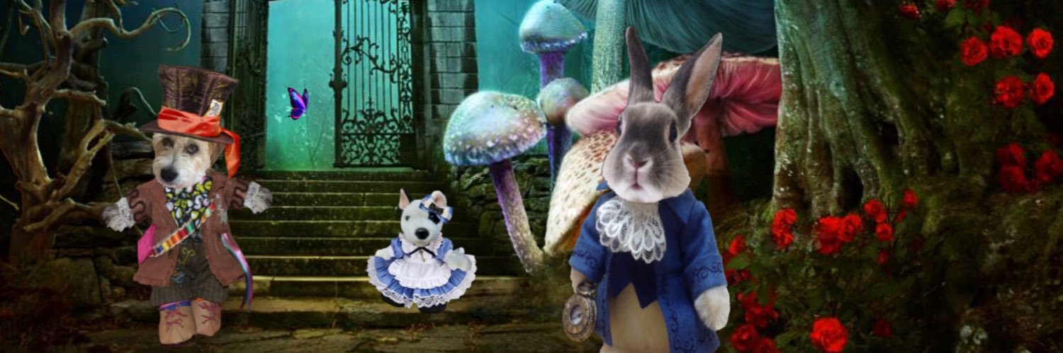 Miss Muddles 🐶🎀💕💖 #ZSHQ General's banner