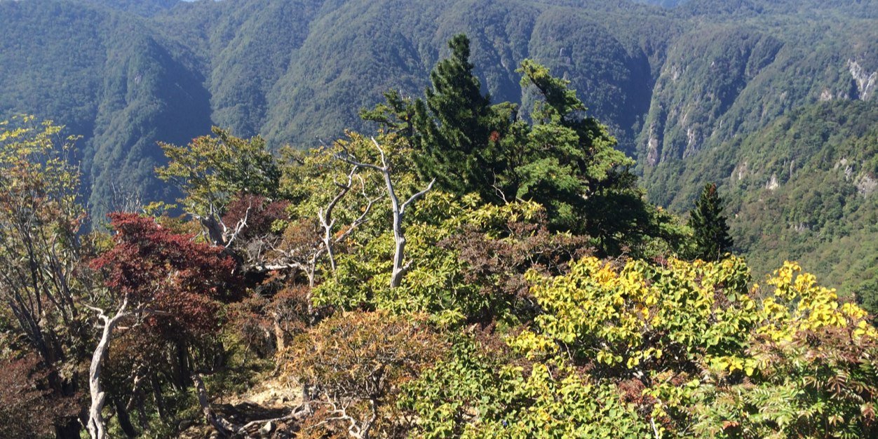 ki_zo_ku's profile banner image