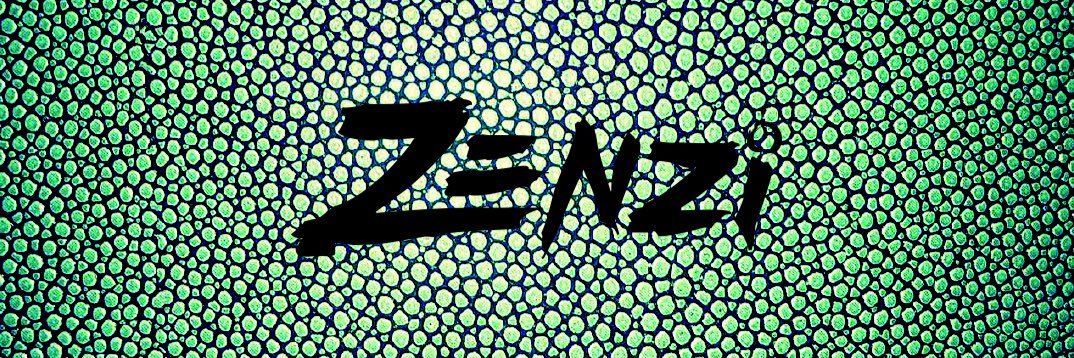 ZenziLounge's profile banner image