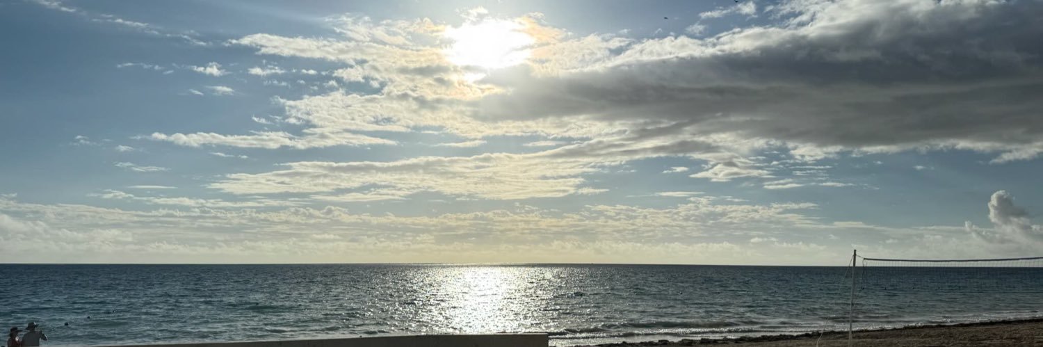 Elinor Sayers banner