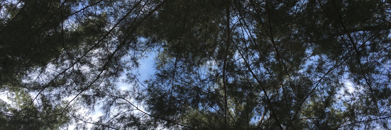 MustafaAlWahaib's profile banner image