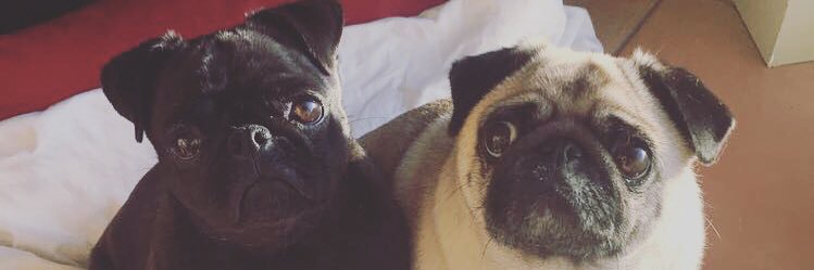 Jennymcg88's profile banner image