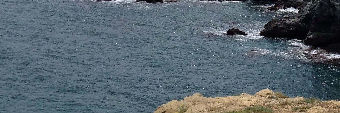 EM_Moni's profile banner image