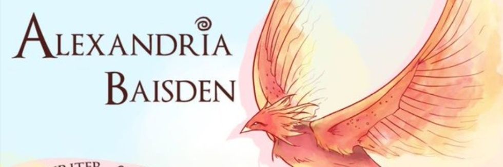 FireShye's profile banner image